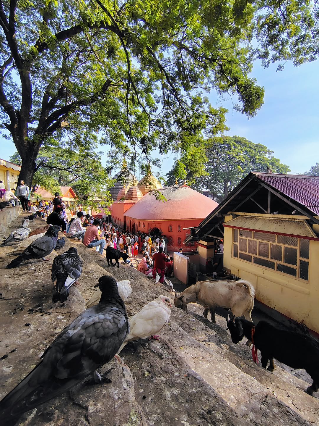 Kamakhya Temple